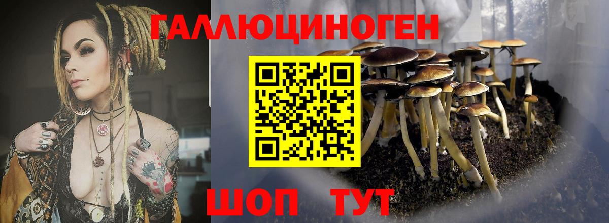Псилоцибиновые грибы MAGIC MUSHROOMS  Вход с VPN  Краснокаменск  Галлюциногенные грибы Cubensis 
